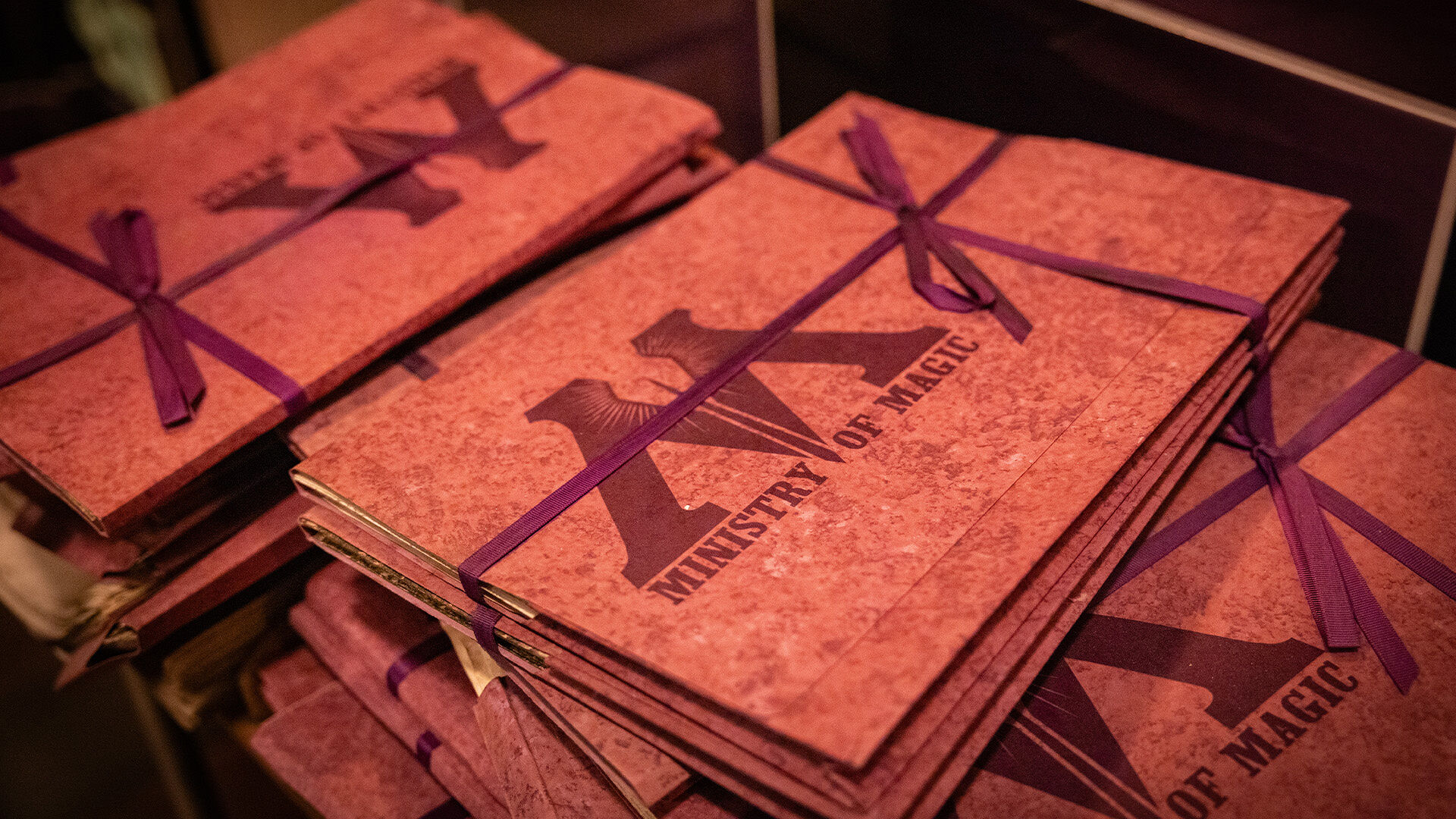 A close-up view of some of the many case files awaiting attention in the Auror’s Office (Ministry of Magic law enforcement officials who defend against the Dark Arts) you’ll see as you travel the queu